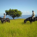 Balade à cheval à la Réunion